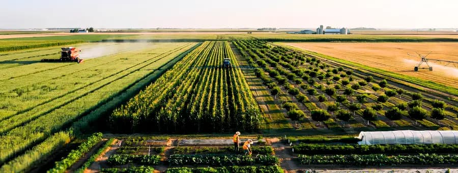 Agribusiness professionals